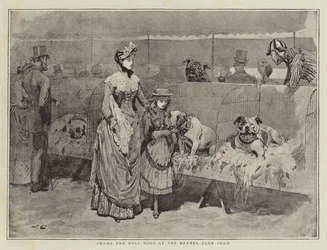 Onder de Bulldogs op de Kennel Club Show